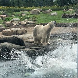 Meet your Posher, Jackid